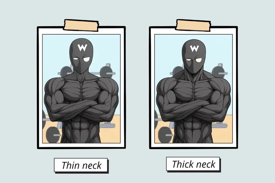 Neck aesthetics