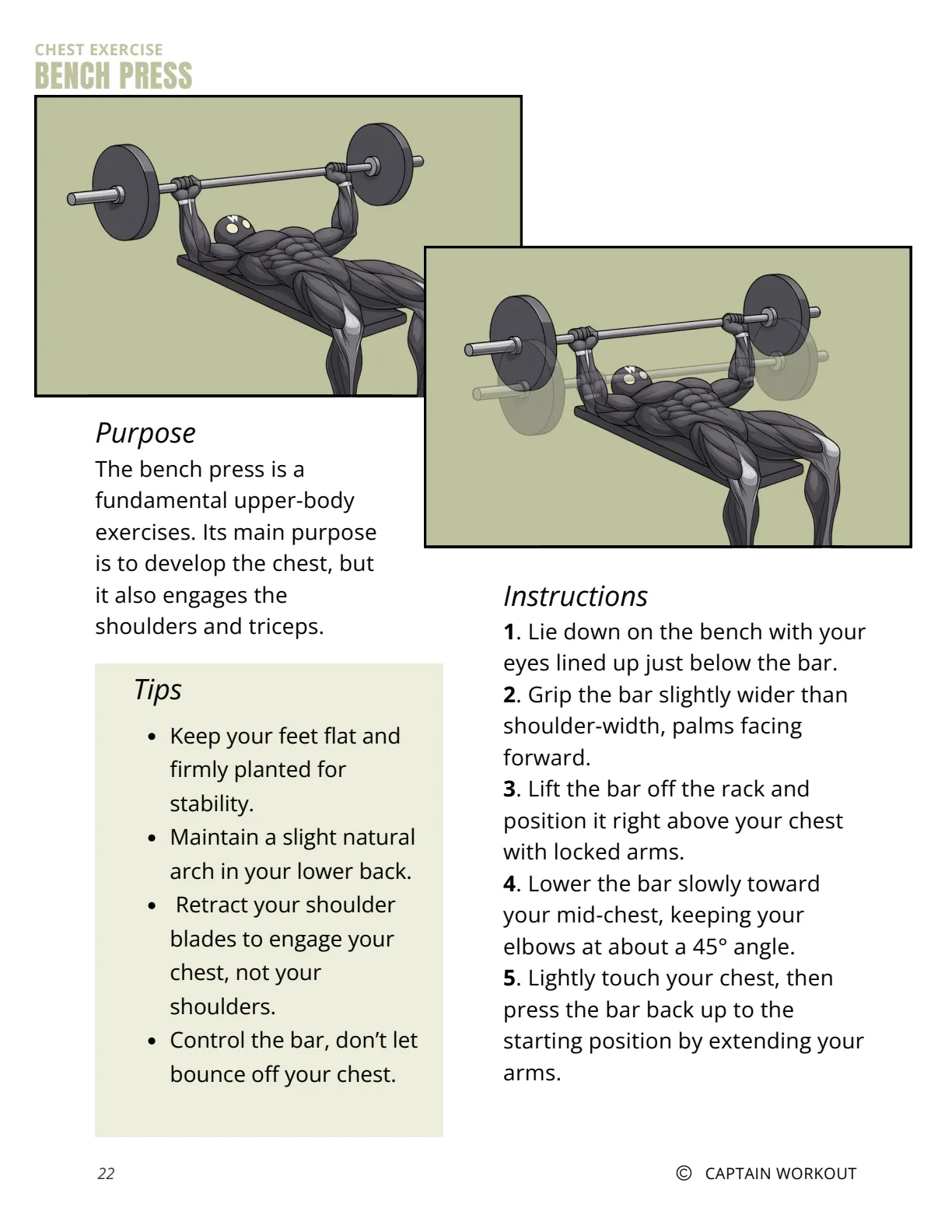 Bench press exercise guide page